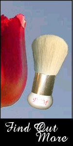 brush-kabukibrush_sm.jpg