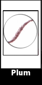 plum.jpg